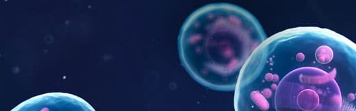 طراحی سایت تجهیزات پزشکی و طراحی وب و راه اندازی پرتال شرکت های تولیدکننده یا واردکننده تجهیزات پزشکی، آزمایشگاهی - شرکت تجهیزات پزشکی abbott