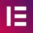 Elementor Pro