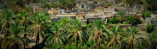 Sistan-and-Baluchestan-Province-Web-Site-Design-For-www-sistandokht-ir طراحی سایت سیستان و بلوچستان و طراحی سایت در استان سیستان و بلوچستان توسط بهترین شرکت طراحی سایت سیستانی در بین شرکت های طراحی سایت استان سیستان با ارائه خدمات طراحی سایت بلوچستان توسط افراد طراح سایت در بلوچستان و یک تیم طراح وب سایت سیستان و بلوچستان منتخب شرکت های طراحی سایت استان سیستان بلوچستان - طراحی سایت سیستان و بلوچستان برای فروشگاه اینترنتی صنایع دستی سیستان دخت
