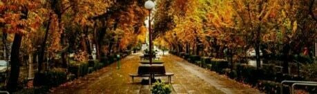 طراحی سایت در خیابان چهارباغ اصفهان