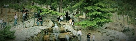 طراحی سایت نیاوران و ساخت سایت در نیاوران و طراحی فروشگاه اینترنتی برای نیاوران و طراحی وب سایت در محله نیاوران تهران - طراحی سایت در جمشیدیه نیاوران تهران