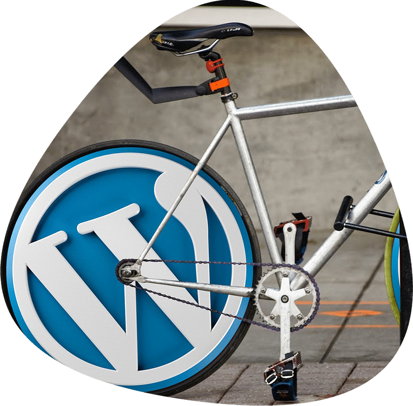The-Power-of-SEO-Infrastructure s-Hundreds-of-Times-Stronger-in-the-Global-Open-Source استدلالات تعاملات داده ورزان و شرح دلایل موجه شرکت داده ورزان بر سیاست عدم توصیه به استفاده از برنامهنویسی اختصاصی و یا استفاده از سیاماس ایرانی و در عوض توصیه به استفاده از سیسستمهای مدیریت محتوای اوپن سورس جهانی نظیر وردپرس - قدرت زیرساخت سئو، در اوپنسورسهای جهانی، صدها بار قویتر است