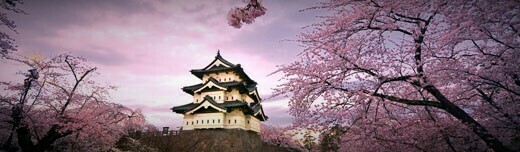 طراحی سایت نیاوران و ساخت سایت در نیاوران و طراحی فروشگاه اینترنتی برای نیاوران و طراحی وب سایت در محله نیاوران تهران - طراحی سایت نیاوران برای آژانس گردشگری گیتا گشت واقع در نیاوران