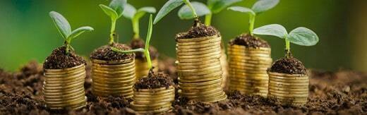 طراحی سایت ستارخان و ساخت سایت در ستارخان و طراحی فروشگاه اینترنتی برای ستارخان و طراحی وب سایت در محله ستارخان تهران - طراحی سایت ستارخان برای موسسه خدمات اداری کاج واقع در ابتدای ستارخان