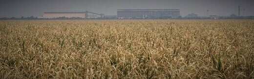 Ahvaz-City-Web-Design-For-www-dehkhoda-sugarcane-ir طراحی سایت اهواز و بهترین شرکت طراح وب در شهر اهواز و طراحی سایت اهواز کیانپارس و طراحی وب سایت اهواز توسط یک شرکت طراحی سایت اهواز متشکل از تیمی از افراد طراح سایت اهواز متخصص در ساخت وب سایت در اهواز و باتجربه در طراحی وب سایت حرفه ای اهواز آماده دریافت سفارش طراحی سایت در اهواز و آماده انجام پروژه های طراحی سایت فروشگاهی در اهواز و طراحی سایت شرکتی در اهواز - طراحی سایت اهواز برای شرکت کشت و صنعت نیشکر دهخدا