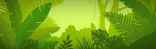 طراحی سایت زیبا و ساخت سایت زیبا با زیباترین طراحی سایت و طراحی زیبای سایت و طراحی زیباترین سایت ها و طراحی سایت های زیبا و نمونه طراحی سایت زیبا و طراحی وب سایت زیبا و طراحی زیبا برای سایت و طراحی هدر زیبا برای سایت همراه با ساخت منوهای زیبا برای سایت - طراحی سایت زیبا برای کمپین حمایت از جنگل های بارانی