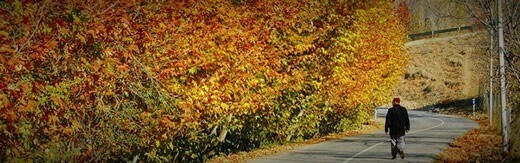 طراحی سایت بجنورد و بهترین شرکت طراح وب در شهر بجنورد و طراحی سایت در بجنورد و طراحی وب سایت در بجنورد جهت شرکت های خواهان استخدام طراح سایت در بجنورد و پروژه های به دنبال شرکت های طراحی سایت در بجنورد و ساخت وبسایت در بجنورد و راه اندازی فروشگاه اینترنتی در بجنورد - طراحی سایت بجنورد برای شرکت پیمانکاری ژرف گستران همگام طبیعت آلاداغ بجنورد