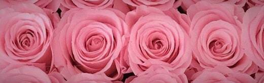 طراحی سایت گل فروشی و طراحی سایت فروشگاه گل و ساخت وب سایت گلفروشی و راه اندازی وب سایت فعالان صنعت گل و طراحی پرتال صنایع گل و دیزاین وبسایت فروشگاهی برای گل - طراحی سایت گلفروشی برای فروشگاه اینترنتی گلفروشی آنلاین بلوم اند ویلد