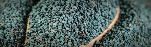 Nuts-Dried-Fruit-Web-site-Design-For-www-kpnuts-com طراحی سایت خشکبار و ساخت فروشگاه آجیل و خشکبار و طراحی سایت فروشگاه خشکبار و طراحی فروشگاه اینترنتی آجیل و خشکبار همراه با طراحی لوگو خشکبار و راه اندازی وب سایت مغازه خشکبار فروشی - طراحی سایت خشکبار برای شرکت عرضه و فروش انگلیسی خشکبار گریز