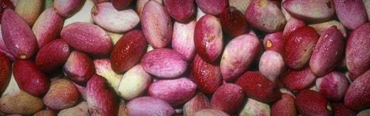 Nuts-Dried-Fruit-Web-site-Design-for-www-planters-com طراحی سایت خشکبار و ساخت فروشگاه آجیل و خشکبار و طراحی سایت فروشگاه خشکبار و طراحی فروشگاه اینترنتی آجیل و خشکبار همراه با طراحی لوگو خشکبار و راه اندازی وب سایت مغازه خشکبار فروشی - طراحی سایت خشکبار برای برند عرضه و فروش خشکبار پلنترز