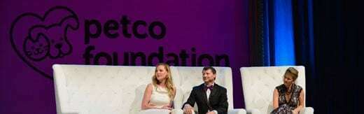 طراحی سایت حیوانات و وب سایت مرتبط با حیوانات خانگی و طراحی فروشگاه اینترنتی حیوانات و وبسایت فروش حیوانات اهلی و وحشی و سامانه های آنلاین حیوانات گمشده و بی سرپرست و پرتال های اطلاع رسانی و خبری حمایت از حیوانات و سایت موسسات پرورش حیوانات و مراکز نگهداری از حیوانات و کلینیک های درمان حیوانات و سایت های خرید و فروش حیوانات خانگی و مزرعه و سایت مجله اینترنتی و خبری حیوانات خانگی- طراحی سایت برای برند فروشگاه های زنجیره ای حیوانات خانگی پتکو