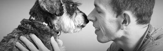 طراحی سایت حیوانات و وب سایت مرتبط با حیوانات خانگی و طراحی فروشگاه اینترنتی حیوانات و وبسایت فروش حیوانات اهلی و وحشی و سامانه های آنلاین حیوانات گمشده و بی سرپرست و پرتال های اطلاع رسانی و خبری حمایت از حیوانات و سایت موسسات پرورش حیوانات و مراکز نگهداری از حیوانات و کلینیک های درمان حیوانات و سایت های خرید و فروش حیوانات خانگی و مزرعه و سایت مجله اینترنتی و خبری حیوانات خانگی- طراحی سایت برای برند حیوانات خانگی تپه پریموس