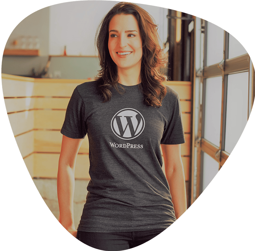 Demo-from-WordPress-is-related-to-previous-unfamiliarity-with-WordPress استدلالات تعاملات داده ورزان و شرح دلایل موجه شرکت داده ورزان بر عدم ارائه نسخه دمو از سیستم مدیریت محتوا و ارجاع مشتری به دموهای فراوان موجود از سایت ساز جهانی وردپرس - دموخواهی از وردپرس، مربوط به عدم آشنایی قبلی با وردپرس است