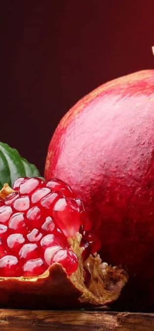 Nuts-Dried-Fruit-Web-Site-Design-Idea-Yalda-Night-Landing-Page-BG طراحی سایت خشکبار و ساخت فروشگاه آجیل و خشکبار و طراحی سایت فروشگاه خشکبار و طراحی فروشگاه اینترنتی آجیل و خشکبار همراه با طراحی لوگو خشکبار و راه اندازی وب سایت مغازه خشکبار فروشی - ایده طراحی سایت آجیل و خشکبار برای صفحه لندینگ شب یلدا