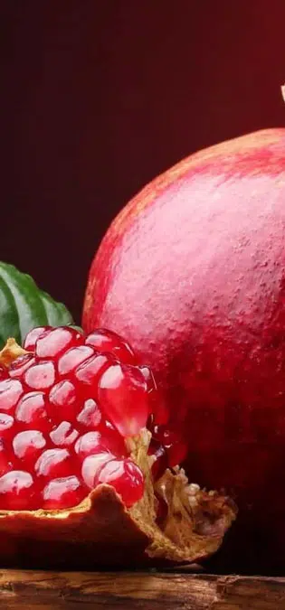 Nuts-Dried-Fruit-Web-Site-Design-Idea-Yalda-Night-Landing-Page-BG طراحی سایت خشکبار و ساخت فروشگاه آجیل و خشکبار و طراحی سایت فروشگاه خشکبار و طراحی فروشگاه اینترنتی آجیل و خشکبار همراه با طراحی لوگو خشکبار و راه اندازی وب سایت مغازه خشکبار فروشی - ایده طراحی سایت آجیل و خشکبار برای صفحه لندینگ شب یلدا