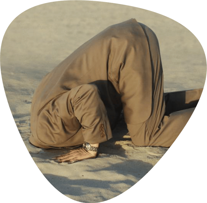 A-web-designer-who-accepts-an-offer-of-partnership-or-purity-is-a-novice استدلالات تعاملات داده ورزان و شرح دلایل موجه شرکت داده ورزان بر سیاست عدم پذیرش پیشنهاد مشارکت در پروژه و شریک شدن در سود و هم افزایی و هم آفرینی - طراح وبی که پیشنهاد مشارکت یا تهاتر را بپذیرد، تازه کار و ناشی است