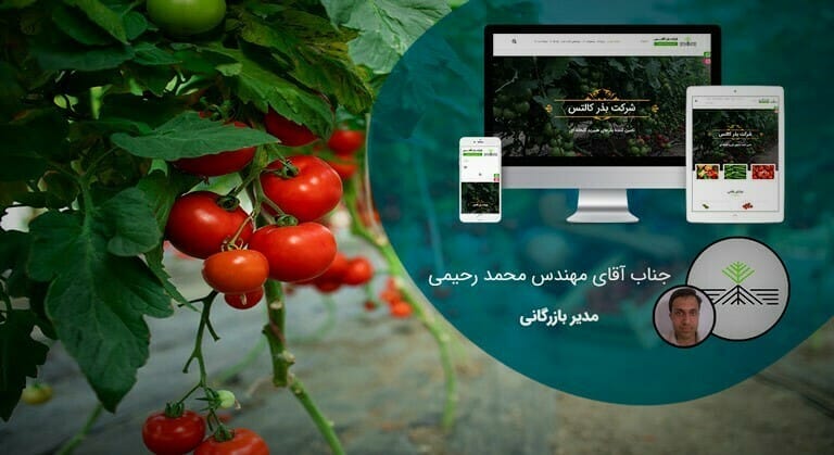 نمونه کار خدمات تولید محتوا برای شرکت بذر کالتس
