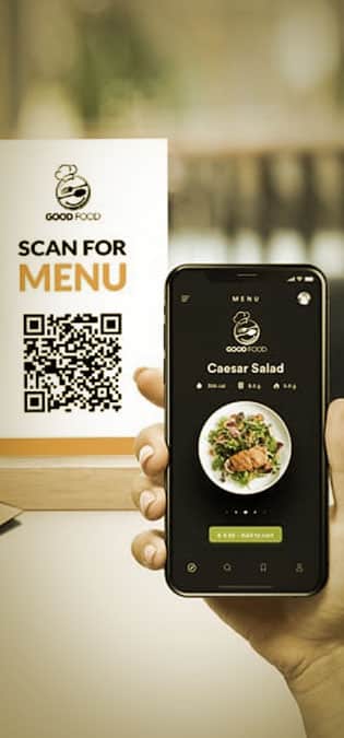 Online-fast-food-menu-BG طراحی سایت فست فود و ساخت وب سایت فست فود و راه اندازی پرتال اطلاع رسانی فستفودی برای فست فودی ها و کلبه های غذای فوری و دکه های غذای حاضری - ایده منوی آنلاین فست فود