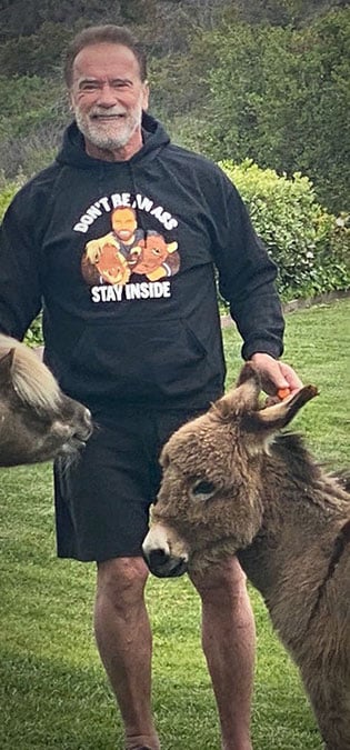 طراحی سایت حیوانات و وب سایت مرتبط با حیوانات خانگی و طراحی فروشگاه اینترنتی حیوانات و وبسایت فروش حیوانات اهلی و وحشی و سامانه های آنلاین حیوانات گمشده و بی سرپرست و پرتال های اطلاع رسانی و خبری حمایت از حیوانات و سایت موسسات پرورش حیوانات و مراکز نگهداری از حیوانات و کلینیک های درمان حیوانات و سایت های خرید و فروش حیوانات خانگی و مزرعه و سایت مجله اینترنتی و خبری حیوانات خانگی- معرفی حیوان خانگی افراد مشهور