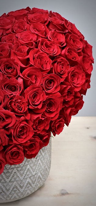 طراحی سایت گل فروشی و طراحی سایت فروشگاه گل و ساخت وب سایت گلفروشی و راه اندازی وب سایت فعالان صنعت گل و طراحی پرتال صنایع گل و دیزاین وبسایت فروشگاهی برای گل - طراحی سایت گلفروشی برای شرکت بزرگ تولید گل هلندی دی جی آی - دسته بندی گل‌ها بر اساس مناسبت