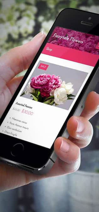 طراحی سایت گل فروشی و طراحی سایت فروشگاه گل و ساخت وب سایت گلفروشی و راه اندازی وب سایت فعالان صنعت گل و طراحی پرتال صنایع گل و دیزاین وبسایت فروشگاهی برای گل - طراحی سایت گلفروشی برای شرکت بزرگ تولید گل هلندی دی جی آی - اپلیکیشن راهنمایی و مشاوره نگهداری