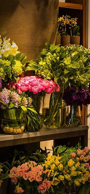 طراحی سایت گل فروشی و طراحی سایت فروشگاه گل و ساخت وب سایت گلفروشی و راه اندازی وب سایت فعالان صنعت گل و طراحی پرتال صنایع گل و دیزاین وبسایت فروشگاهی برای گل - طراحی سایت گلفروشی برای شرکت بزرگ تولید گل هلندی دی جی آی - پرسشنامه خرید گل و گیاه