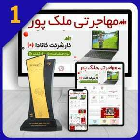 طراحی سایت مهاجرت و طراحی وب سایت موسسه مهاجرتی