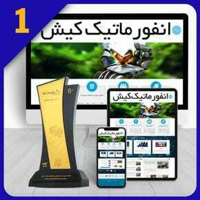 طراحی سایت انفورماتیک طراحی سایت انفورماتیک