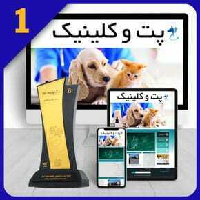 طراحی سایت حیوانات