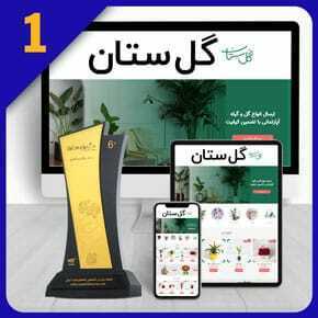 طراحی سایت گل فروشی و طراحی سایت گلها و طراحی سایت گل و طراحی سایت برای گل فروشی