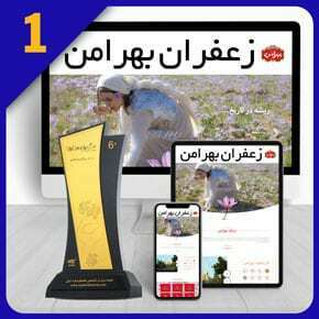 طراحی سایت زعفران