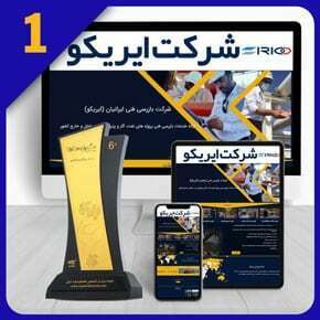 Inspection-Control-Technical-Supervision-Companies-Web-Site-Design طراحی سایت شرکت بازرسی