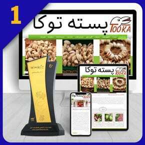 طراحی سایت پسته و ساخت وب سایت صنعت پسته و طراحی سایت فروشگاهی پسته فروشی و طراحی سایت شرکت های صادرات محصولات پسته