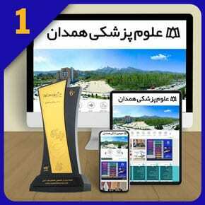بهترین شرکت طراحی وب سایت در همدان