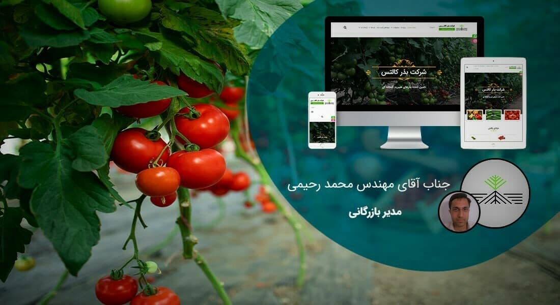 طراحی سایت نهالستان و ساخت فروشگاه بذر و طراحی فروشگاه اینترنتی نهال و طراحی سایت فروشگاهی بذر و راه اندازی پرتال شرکت های بذر و طراحی سایت گلخانه ها و طراحی سایت نهال فروشی - طراحی سایت نهالستان برای شرکت بذر کالتس