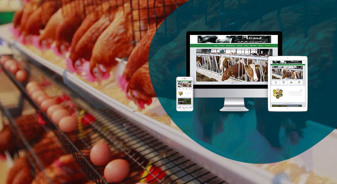 طراحی سایت و طراحی سایت‌های مختلف توسط متخصص طراحی سایت آماده پذیرش طراحی سایت و قبول طراحی سایت و طراحی سایت و پشتیبانی و طراحی سایت جدید و طراحی سایت دلخواه و طراحی سایت کاری به صورت طراحی سایت های برتر و بهترین طراحی سایت - طراحی سایت برای شرکت افرند دانش پارسیان