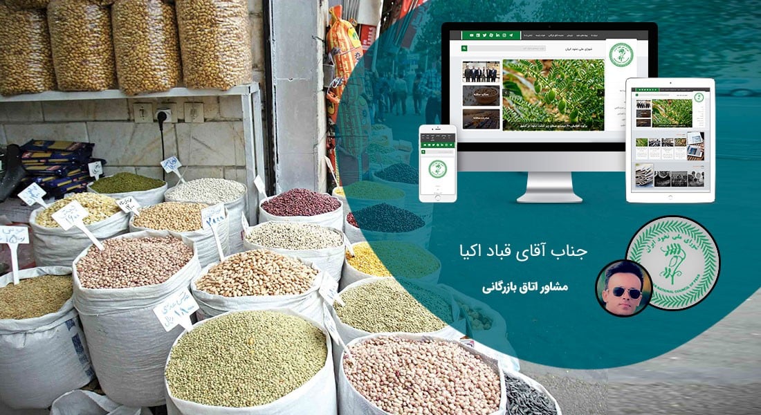 طراحی سایت صنایع غذایی و طراحی سایت مواد غذایی و طراحی پرتال اطلاع رسانی شرکت های فعال در صنعت غذا و ساخت وبسایت شرکتهای تولیدکننده مواد غذایی - طراحی سایت صنایع غذایی برای شورای ملی نخود ایران