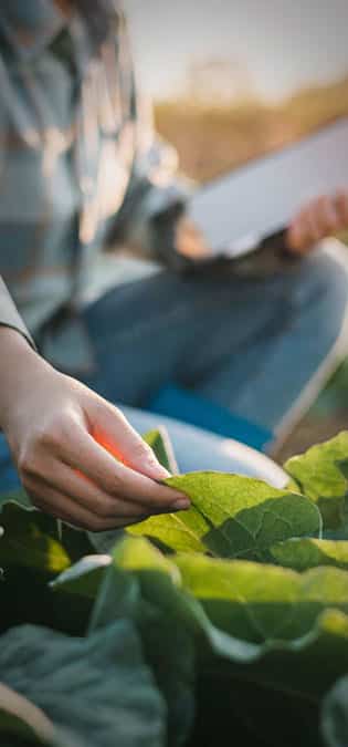 Agricultural-Companies-Industries-Web-Site-Design-Consultation-Questionnaire-for-Agricultural-Services طراحی سایت کشاورزی و طراحی وب سایت شرکت های فعال در زمینه کشاورزی و ماشین آلات کشاورزی و ساخت وبسایت کشاورز و راه اندازی پرتال شرکتهای کشاورزی و شرکتهای کشت و صنعت - پرسشنامه مشاوره برای خدمات کشاورزی
