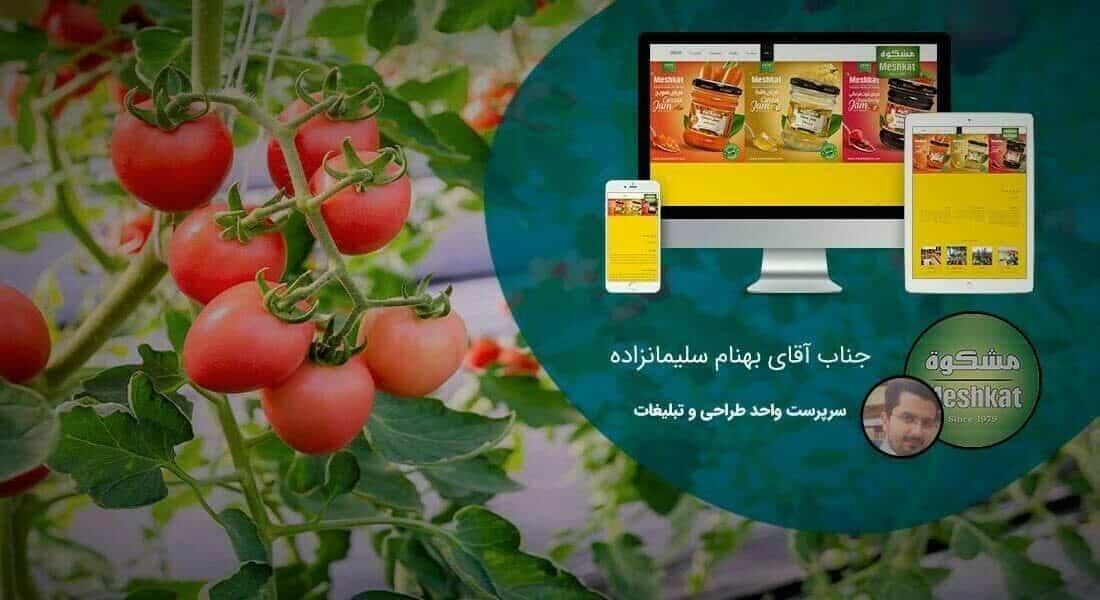 طراحی سایت تولیدی و طراحی وب سایت شرکت تولیدی و ساخت وبسایت شرکتهای تولیدی و طراحی سایت و تولید محتوا و طراحی و تولید سایت - طراحی سایت تولیدی برای شرکت تولیدی غذایی دشت مشکات