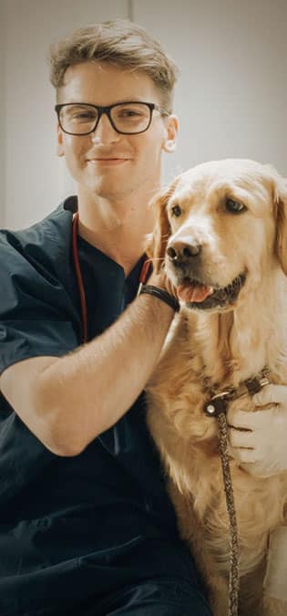 طراحی سایت دامپزشکی و ساخت وب سایت دامپروری و طراحی وب سایت برای شرکت های مرتبط با دام و طیور و طراحی سایت مرغداری ها و طراحی فروشگاه اینترنتی تجهیزات دامپروری و راه اندازی سایت فروشگاهی برای شرکت های تامین تجهیزات دام و طیور - تور مجازی محیط کلینیک