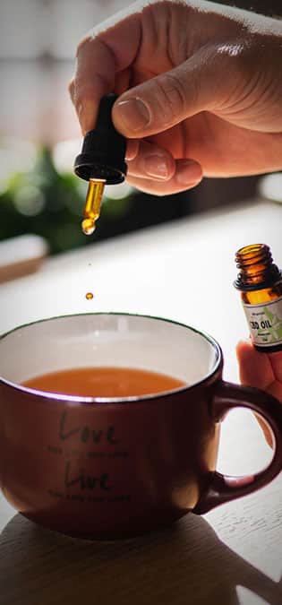 Medicinal-Plants-Web-Site-Design-Idea-Presenting-the-Irreplaceable-Role-of-Medicinal-Plants-Through-an-Educational-Blog طراحی سایت گیاهان دارویی و طراحی وب سایت شرکتهای فعال در زمینه داروهای گیاهی و شرکت های تولیدکننده یا واردکننده گیاه دارویی - ارائه نقش بیبدیل گیاهان دارویی از طریق وبلاگ آموزشی