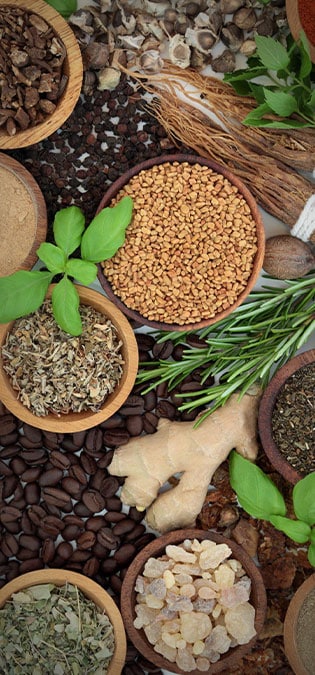 Medicinal-Plants-Web-Site-Design-Idea-Specialized-Search-for-Medicinal-Plants طراحی سایت گیاهان دارویی و طراحی وب سایت شرکتهای فعال در زمینه داروهای گیاهی و شرکت های تولیدکننده یا واردکننده گیاه دارویی - جستجوی تخصصی گیاهان دارویی