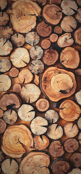 Wood-Industries-Web-Site-Design-Idea-Database-of-Introduction-of-Types-of-Wood طراحی سایت صنایع چوب بر اساس بهترین چارچوب طراحی سایت و طراحی سایت به رنگ چوبی برای کارخانجات چوب و سازندگان کالاهای چوبی و تولیدکنندگان محصولات چوب و بازارهای چوب فروشی و فعالان صنایع چوبی - بانک اطلاعاتی معرفی انواع چوب