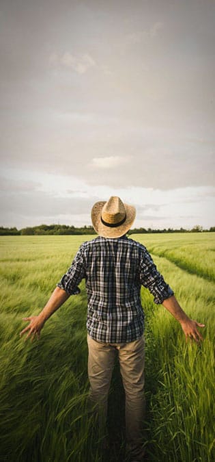 Seedling-Cultivation-Seed-Store-Companies-Web-Design-Idea-Holding-the-Best-Farmer-Competition طراحی سایت نهالستان و ساخت فروشگاه بذر و طراحی فروشگاه اینترنتی نهال و طراحی سایت فروشگاهی بذر و راه اندازی پرتال شرکت های بذر و طراحی سایت گلخانه ها و طراحی سایت نهال فروشی - برگزاری مسابقه کشاورز برتر