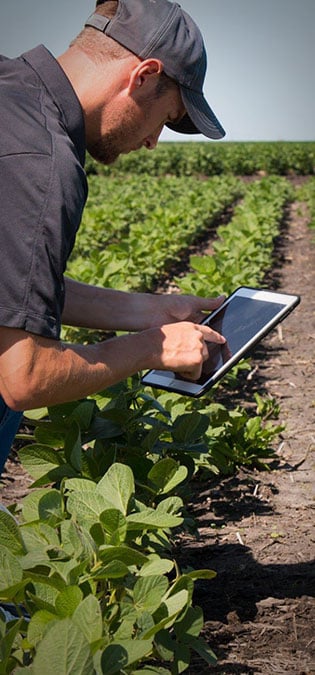 Seedling-Cultivation-Seed-Store-Companies-Web-Design-Idea-Online-Support-Mechanism طراحی سایت نهالستان و ساخت فروشگاه بذر و طراحی فروشگاه اینترنتی نهال و طراحی سایت فروشگاهی بذر و راه اندازی پرتال شرکت های بذر و طراحی سایت گلخانه ها و طراحی سایت نهال فروشی - مکانیزم پشتیبانی آنلاین