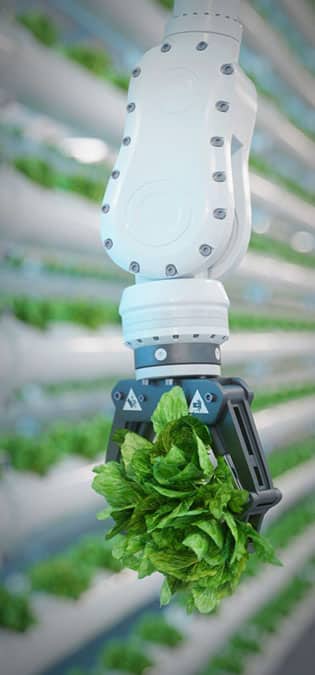 Seedling-Cultivation-Seed-Store-Companies-Web-Design-Idea-Scientific-Articles-Blog طراحی سایت نهالستان و ساخت فروشگاه بذر و طراحی فروشگاه اینترنتی نهال و طراحی سایت فروشگاهی بذر و راه اندازی پرتال شرکت های بذر و طراحی سایت گلخانه ها و طراحی سایت نهال فروشی - بلاگ مقالات علمی