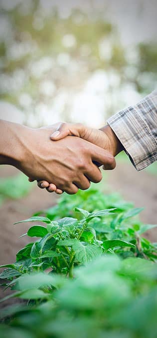Seedling-Cultivation-Seed-Store-Companies-Web-Design-Idea-Testimony-Section طراحی سایت نهالستان و ساخت فروشگاه بذر و طراحی فروشگاه اینترنتی نهال و طراحی سایت فروشگاهی بذر و راه اندازی پرتال شرکت های بذر و طراحی سایت گلخانه ها و طراحی سایت نهال فروشی - بخش شهادت مشتریان