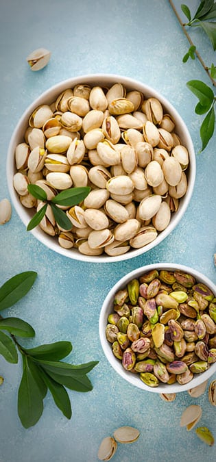 طراحی سایت پسته و طراحی فروشگاه اینترنتی پسته جات و ساخت وب سایت شرکت های صادرات پسته - آزمایشگاه مزه