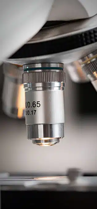 Scientific-Web-Site-Design-Idea-Database-of-Microscopic-Images-and-Videos طراحی سایت علمی و ساختن سایت علمی و طراحی وب سایت علمی بر اساس علم طراحی سایت و راه اندازی سایت فروشگاه کالاهای علمی و فروش کتاب های علمی - پایگاه داده تصاویر و ویدیوهای میکروسکوپی
