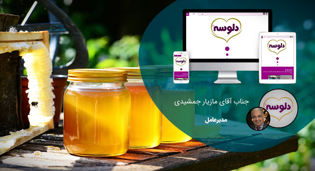 طراحی سایت عسل و طراحی وب سایت شرکت های عسل و طراحی سایت صنایع عسل و ساخت سایت فروشگاهی محصولات عسل و راه اندازی فروشگاه اینترنتی کالاهای عسلی - طراحی سایت عسل برای شرکت دلوسه